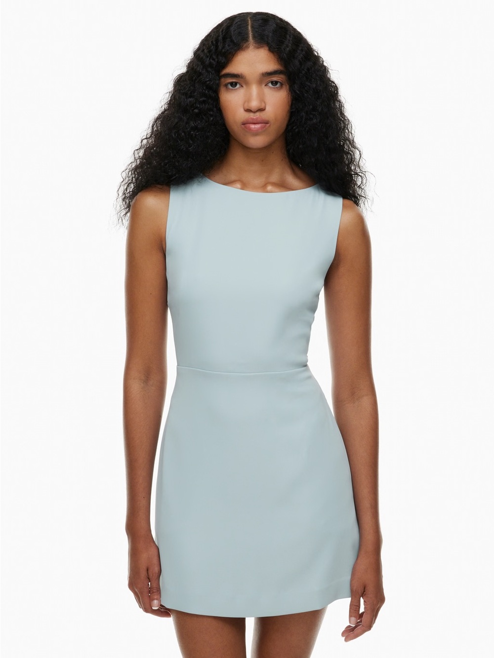 Aritzia Babaton Spectre Dress